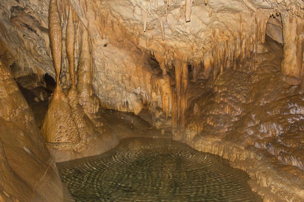 Casa Rural La Regoria Carrena de Cabrales Ngoại thất bức ảnh